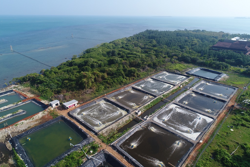 What is the Aquaculture Study Program and Its Job Prospects?
