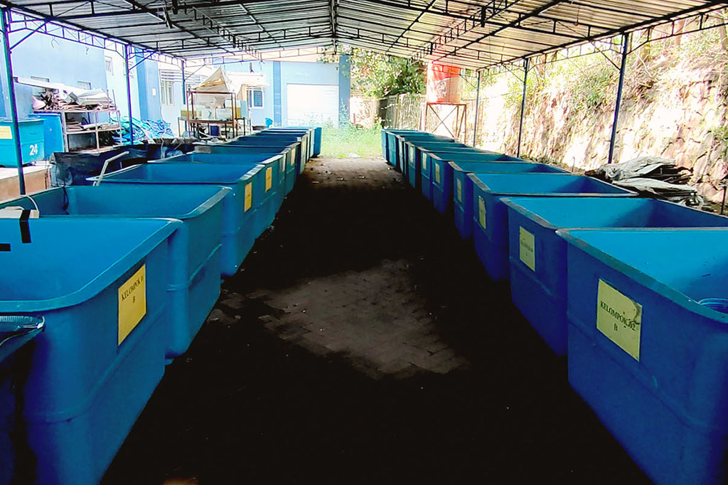 Water Quality Management Using Simple Filters in Catfish Hatchery (Clarias sp.)