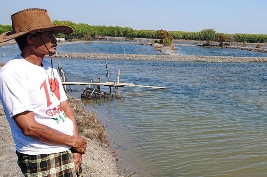 Sustainable Aquaculture to Support Mangrove Forest Restoration in Indonesia (PASMI)